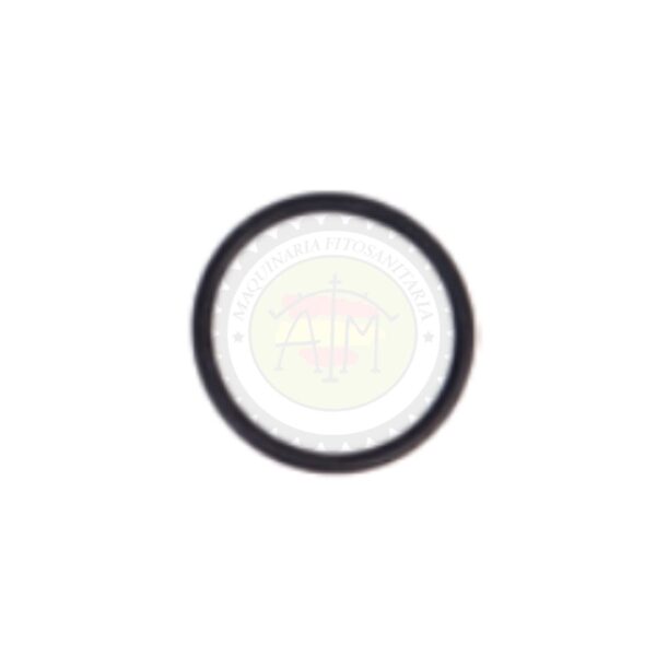 Junta Tórica del Asiento Regulador M.2011