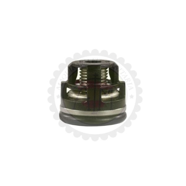 VÁLVULA BERTOLINI POLY-73-160-210-256-260-300