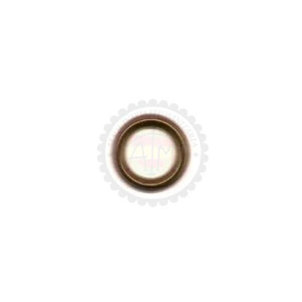 INTER PUMT T.44 COLLARÍN V48.36